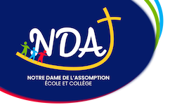 Logo NDA Bavay